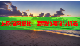 东欧暗网揭秘:潜藏的黑暗与机遇