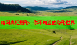 暗网真相揭秘:你不知道的隐秘世界