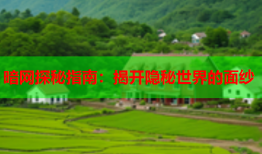 暗网探秘指南:揭开隐秘世界的面纱