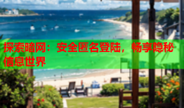 探索暗网:安全匿名登陆,畅享隐秘信息世界