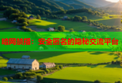 暗网禁播:安全匿名的隐秘交流平台