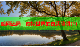 暗网迷局:虚拟世界的真实陷阱(1)