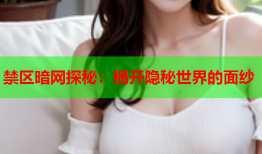 禁区暗网探秘:揭开隐秘世界的面纱