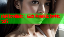 暗网秘钥揭秘:探索黑暗网络的神秘世界