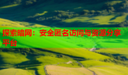 探索暗网:安全匿名访问与资源分享平台