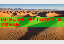 暗区禁网APP:安全上网新选择,保护隐私无忧