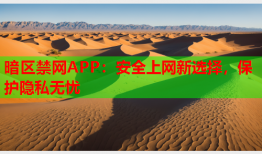 暗区禁网APP:安全上网新选择,保护隐私无忧