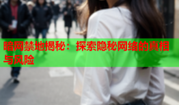 暗网禁地揭秘:探索隐秘网络的真相与风险