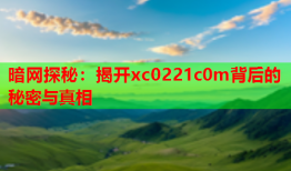 暗网探秘:揭开xc0221c0m背后的秘密与真相
