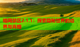 暗网禁区2.1.1:探索隐秘世界的边界与真相