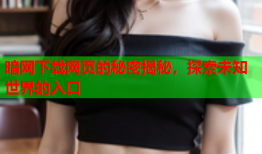 暗网下载网页的秘密揭秘,探索未知世界的入口