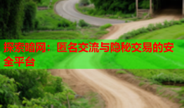 探索暗网:匿名交流与隐秘交易的安全平台