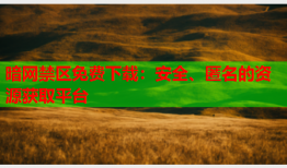 暗网禁区免费下载:安全、匿名的资源获取平台