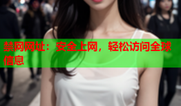 禁网网址:安全上网,轻松访问全球信息