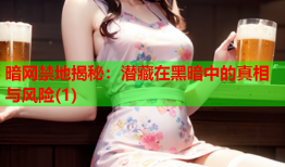 暗网禁地揭秘:潜藏在黑暗中的真相与风险(1)