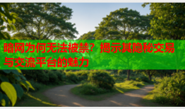暗网为何无法被禁?揭示其隐秘交易与交流平台的魅力