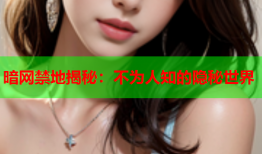 暗网禁地揭秘:不为人知的隐秘世界