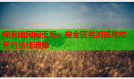 探索暗网网页版:安全匿名浏览与交易的最佳选择