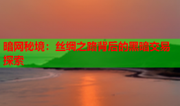 暗网秘境:丝绸之路背后的黑暗交易探索