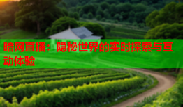 暗网直播:隐秘世界的实时探索与互动体验