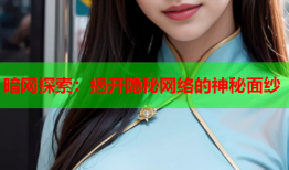 暗网探索:揭开隐秘网络的神秘面纱