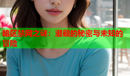 暗区禁网之谜:潜藏的秘密与未知的冒险