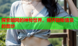 探索暗网的神秘世界,揭开隐秘信息的面纱