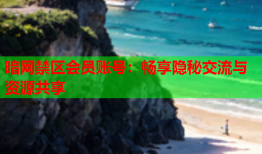 暗网禁区会员账号:畅享隐秘交流与资源共享