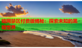 暗网禁区付费版揭秘:探索未知的黑暗世界