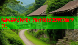 暗网禁地探秘:揭开隐秘世界的面纱(1)
