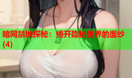 暗网禁地探秘:揭开隐秘世界的面纱(4)