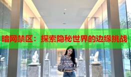 暗网禁区:探索隐秘世界的边缘挑战