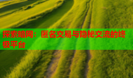 探索暗网:匿名交易与隐秘交流的终极平台