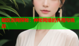 暗区禁网探秘:神秘网络的真相与挑战