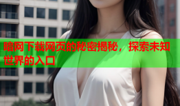 暗网下载网页的秘密揭秘,探索未知世界的入口
