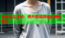 暗网禁区探秘:揭开黑暗网络的神秘面纱