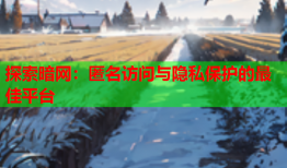 探索暗网:匿名访问与隐私保护的最佳平台