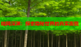暗网深渊:探索隐秘世界的真实面貌