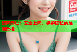 禁网网址:安全上网,保护隐私的最佳选择