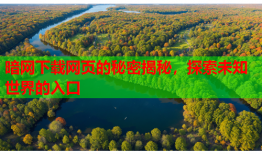 暗网下载网页的秘密揭秘,探索未知世界的入口