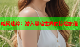 暗网迷踪:潜入黑暗世界的惊险旅程