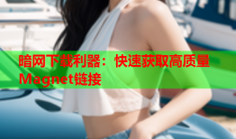 暗网下载利器:快速获取高质量Magnet链接