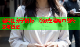 暗网红房子揭秘:隐藏在黑暗中的秘密与诱惑