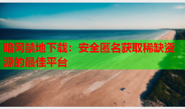 暗网禁地下载:安全匿名获取稀缺资源的最佳平台