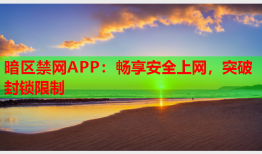 暗区禁网APP:畅享安全上网,突破封锁限制