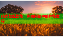 暗网禁区揭秘:黑暗网络中的神秘世界
