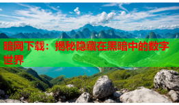 暗网下载:揭秘隐藏在黑暗中的数字世界