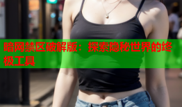 暗网禁区破解版:探索隐秘世界的终极工具