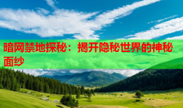 暗网禁地探秘:揭开隐秘世界的神秘面纱