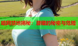 暗网禁地揭秘:潜藏的秘密与危险
